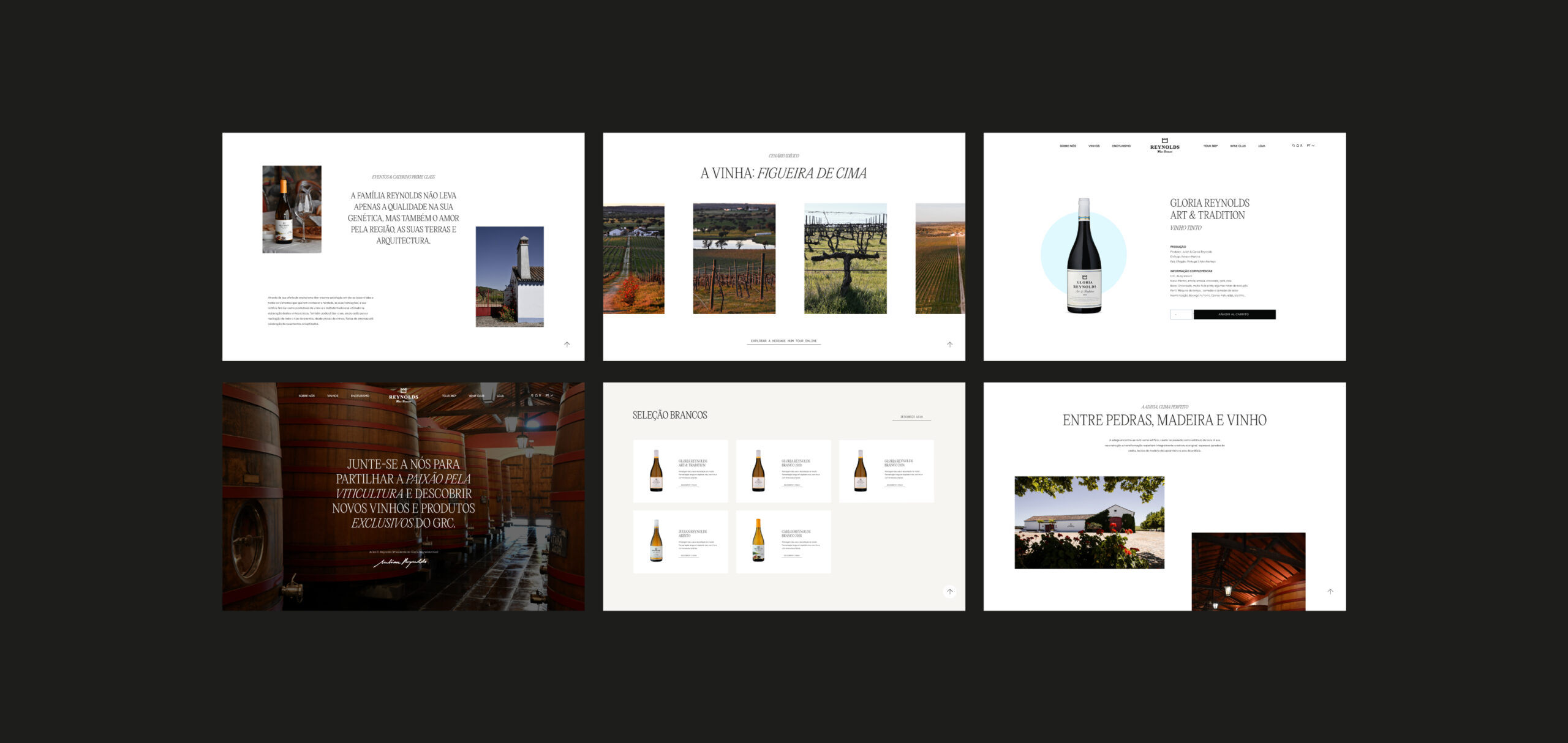 diseño ux / ui agencia fisher extremadura | 1