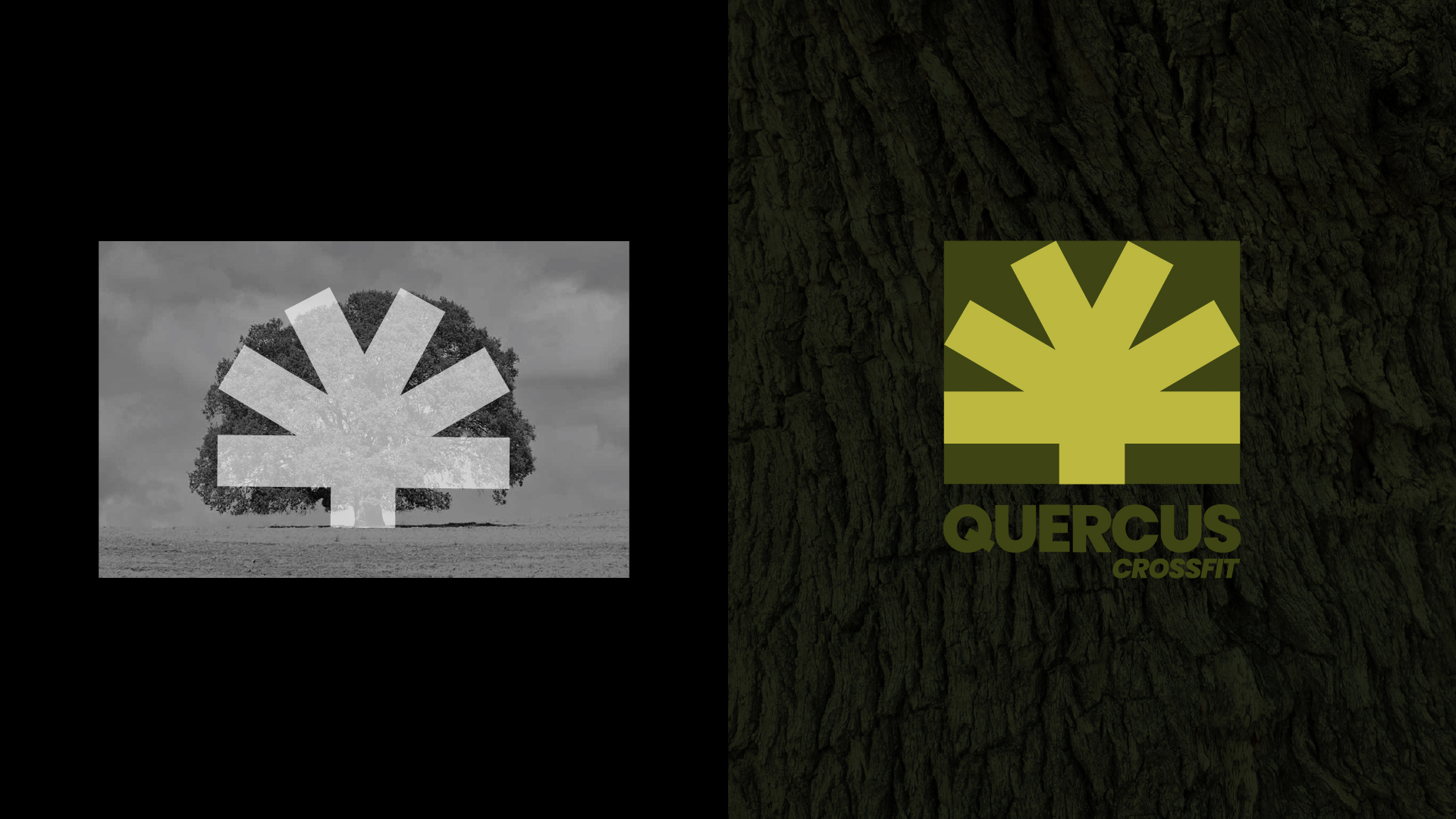 estrategia y consultoría