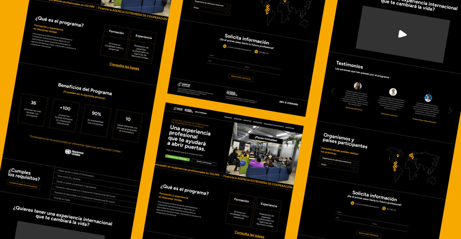 claves para diseñar una landing page que convierte visitantes en clientes agencia fisher extremadura | 3