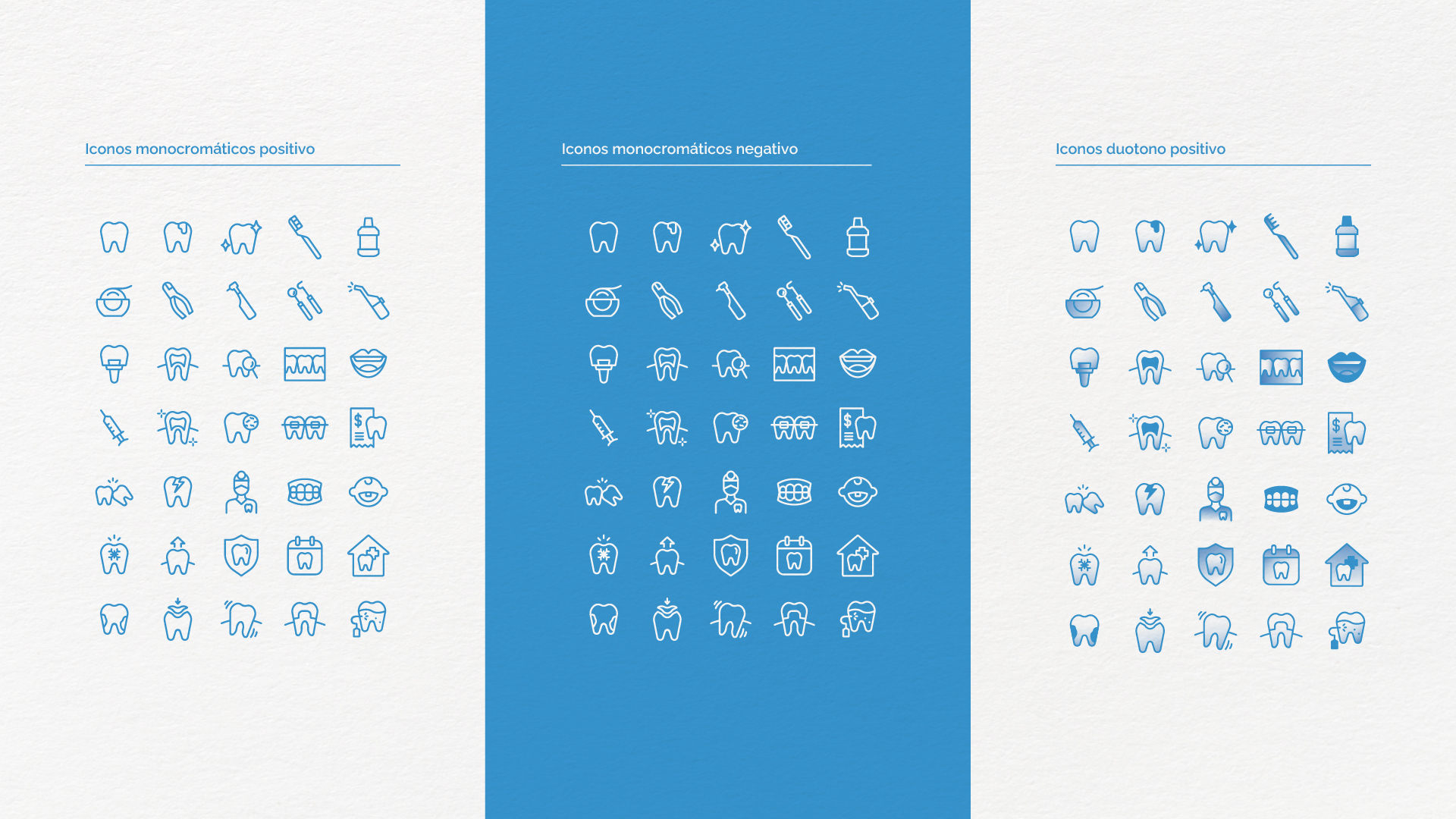 manual de identidad corporativa agencia fisher extremadura | 4