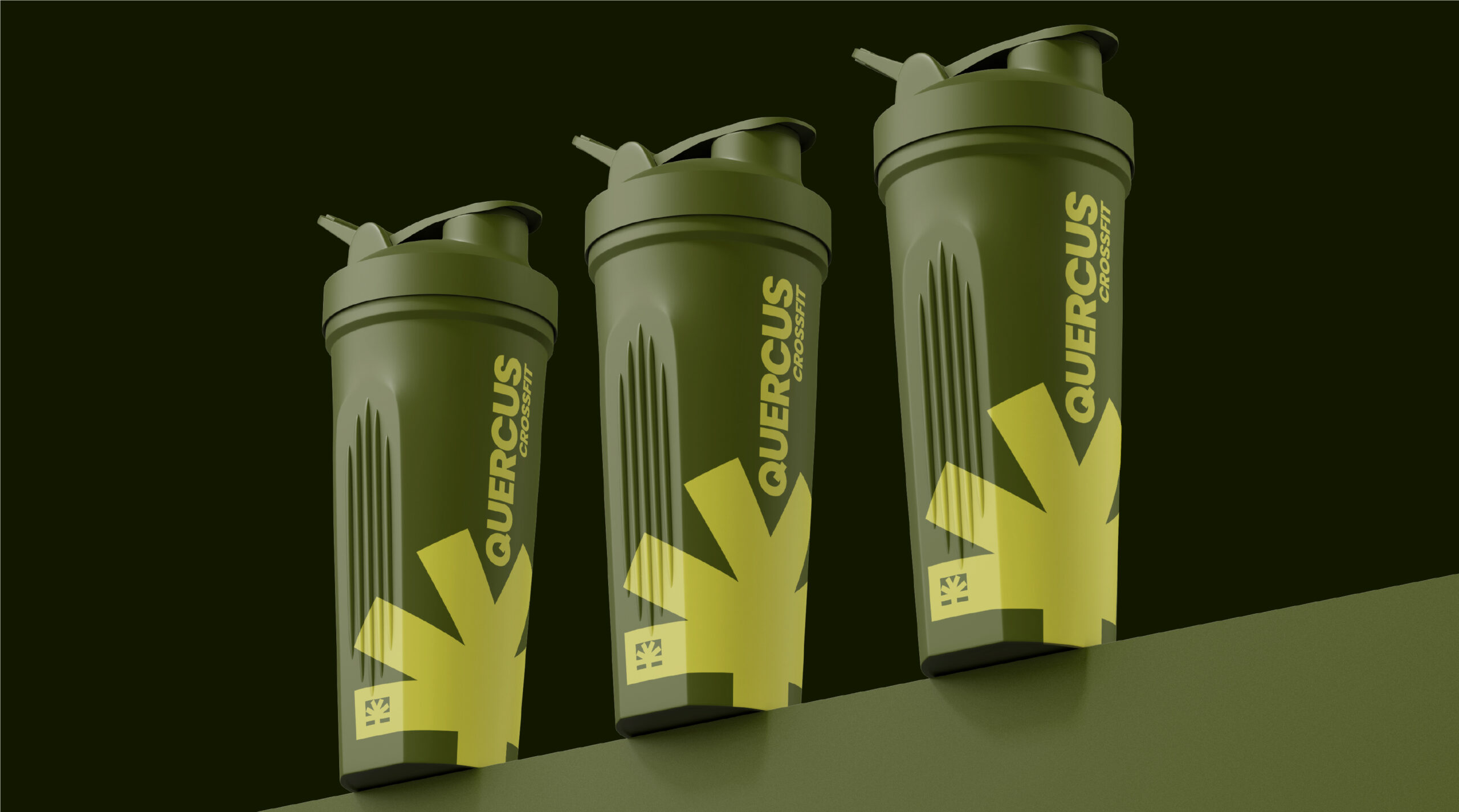 quercus crossfit agencia fisher extremadura | 1